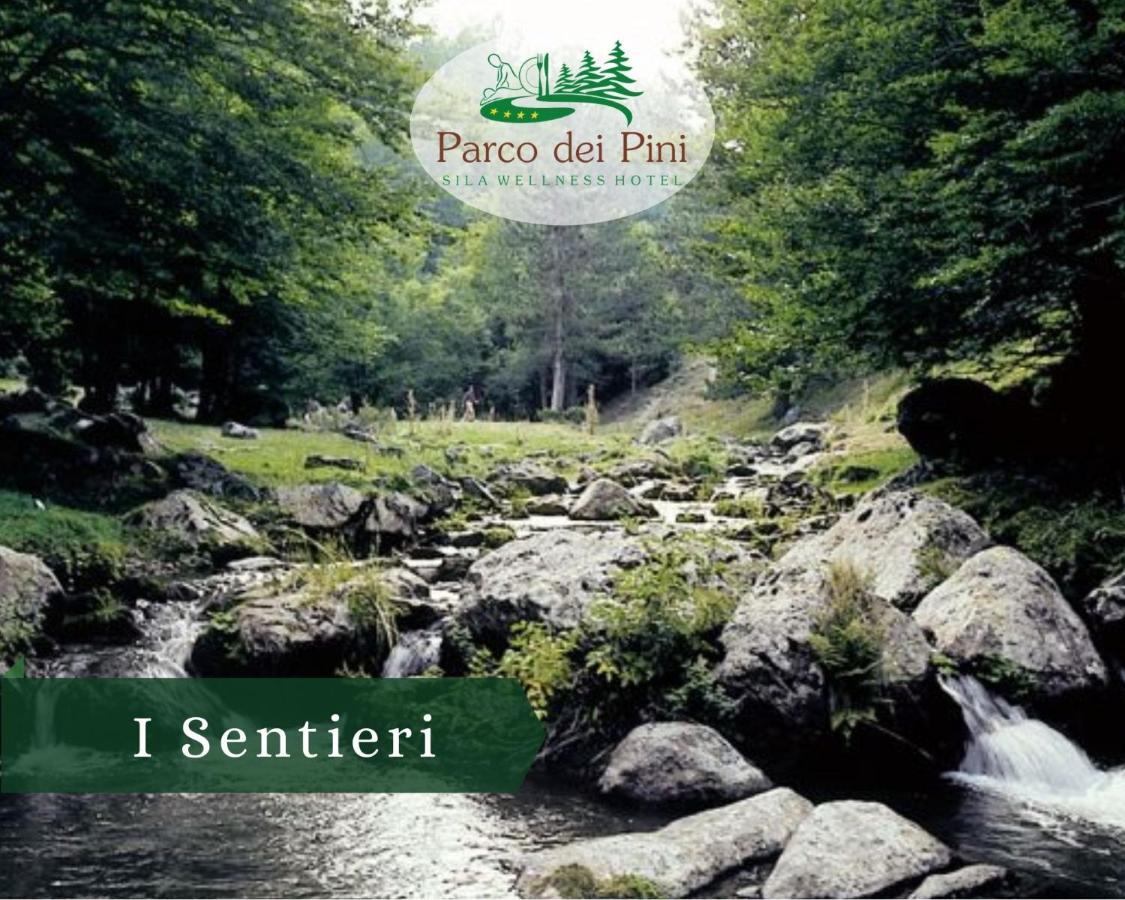 Parco Dei Pini - Sila Wellness Hotel Taverna  Dış mekan fotoğraf
